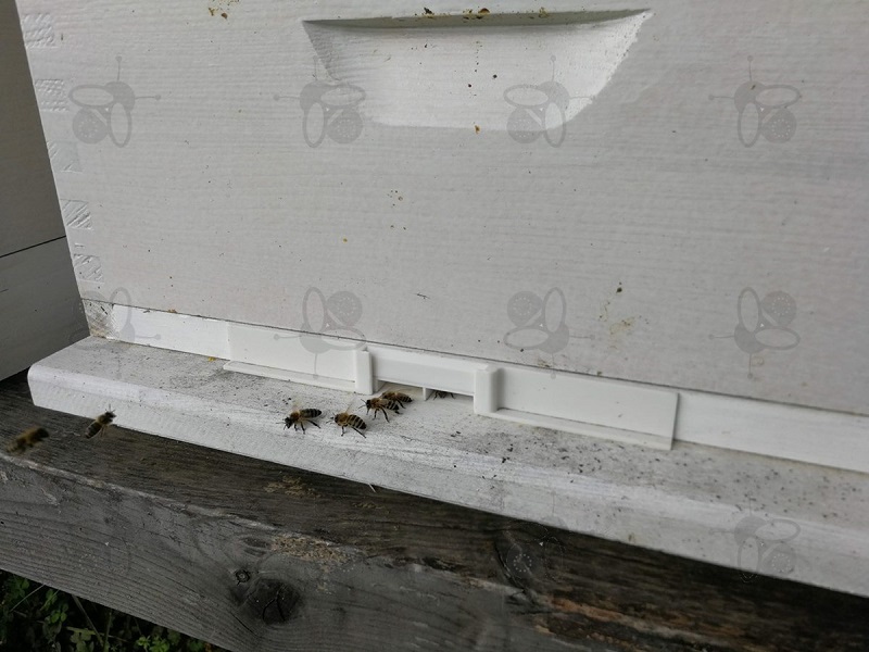 There are several warning signs that may indicate bees robbery