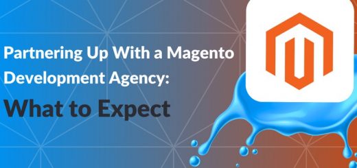 Magento 2 development agency